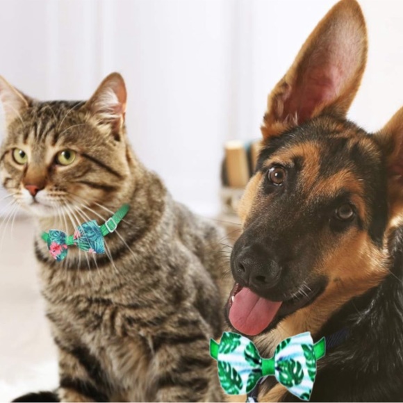 6 Colorful Pet Bow Ties With Collar - Picture 2 of 3